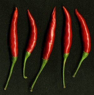 ModernFood