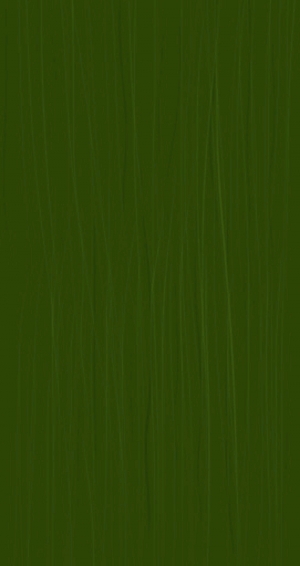 植物树叶-ID:581485993
