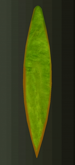 植物树叶-ID:936420057