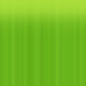 树叶-ID:576908116