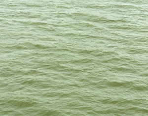 水波纹水景-ID:988815079
