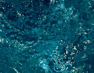 水波纹水景-ID:239434962