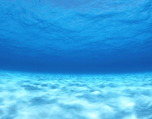 水波纹水景-ID:462263113