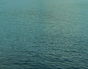 水波纹水景-ID:486478093