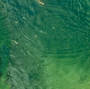 ModernWater Pattern