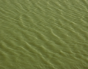 水波纹水景-ID:257483961