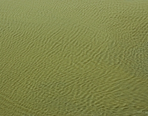 ModernWater Pattern