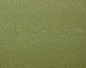 水波纹水景-ID:707813025