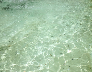 水波纹水景-ID:173640327