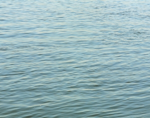 水波纹水景-ID:817054032