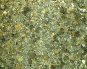 海浪水波纹-ID:221767906
