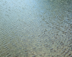 ModernWater Pattern