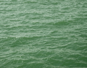 海浪水波纹-ID:831279044