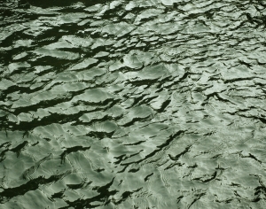 海浪水波纹-ID:525033002