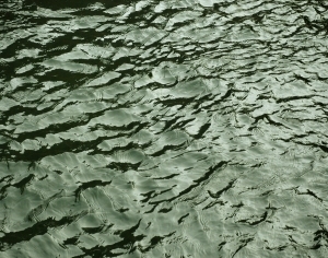 ModernWater Pattern