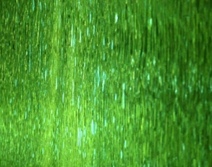 水波纹水景-ID:115380054