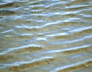 水波纹水景-ID:217847114