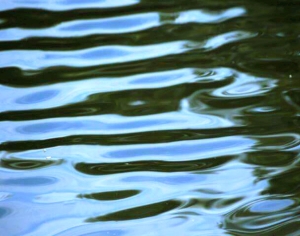 水波纹水景-ID:141432055