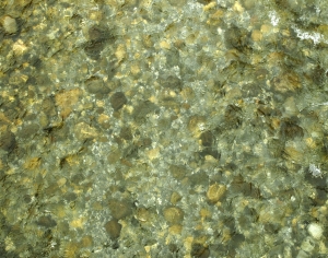水波纹水景-ID:732688974