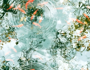 水波纹水景-ID:914226066