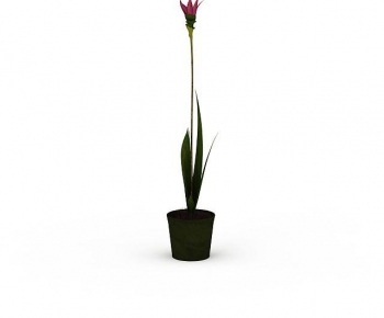 Modern Potted Green Plant-ID:184417015