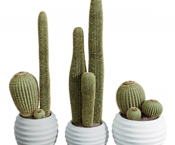 Modern Potted Green Plant-ID:992060901