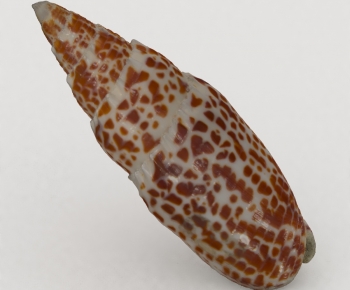 Modern Aquatic Animals-ID:139816054