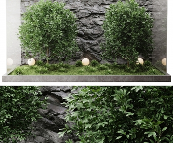Modern Plant Landscaping-ID:923434978