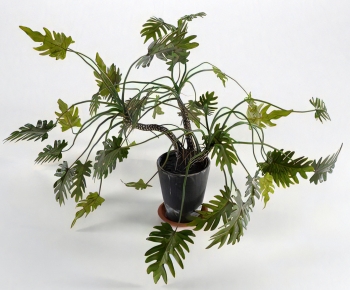 Modern Ground Green Plant Potted Plants-ID:721590044