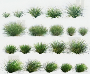 Modern The Grass-ID:983422041