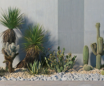 现代室内仙人掌植物造景-ID:202009769