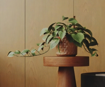 Modern Potted Green Plant-ID:899631982