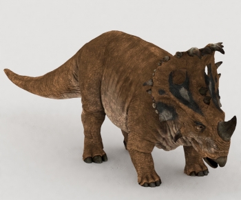 Modern Other Animals-ID:229806907