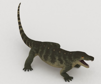 Modern Reptile-ID:886560926