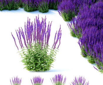 Modern Flowers And Grass-ID:654439937