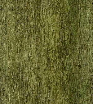 ModernBark Texture