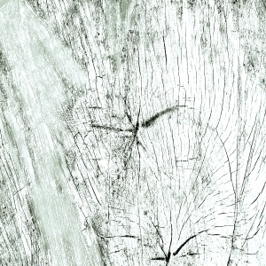 ModernBark Texture