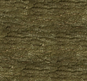 ModernBark Texture