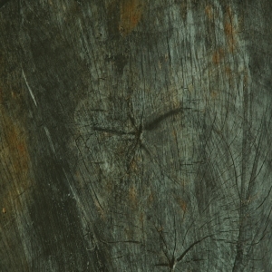 ModernBark Texture
