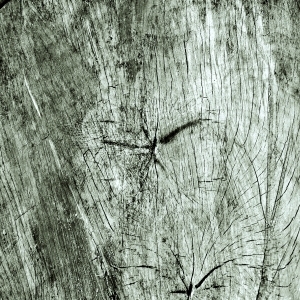 ModernBark Texture