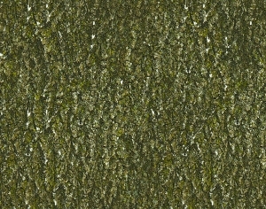 ModernBark Texture