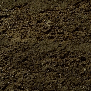 ModernBark Texture