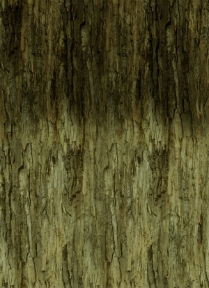 ModernBark Texture