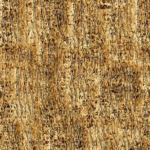ModernBark Texture