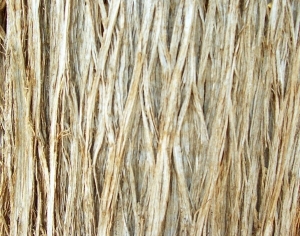 ModernBark Texture