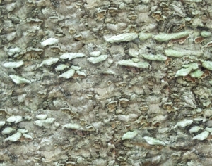ModernBark Texture