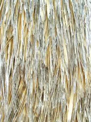 ModernBark Texture