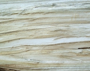 ModernBark Texture