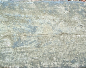 ModernBark Texture