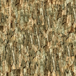 ModernBark Texture